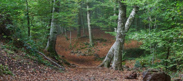 Excursão a Garrotxa