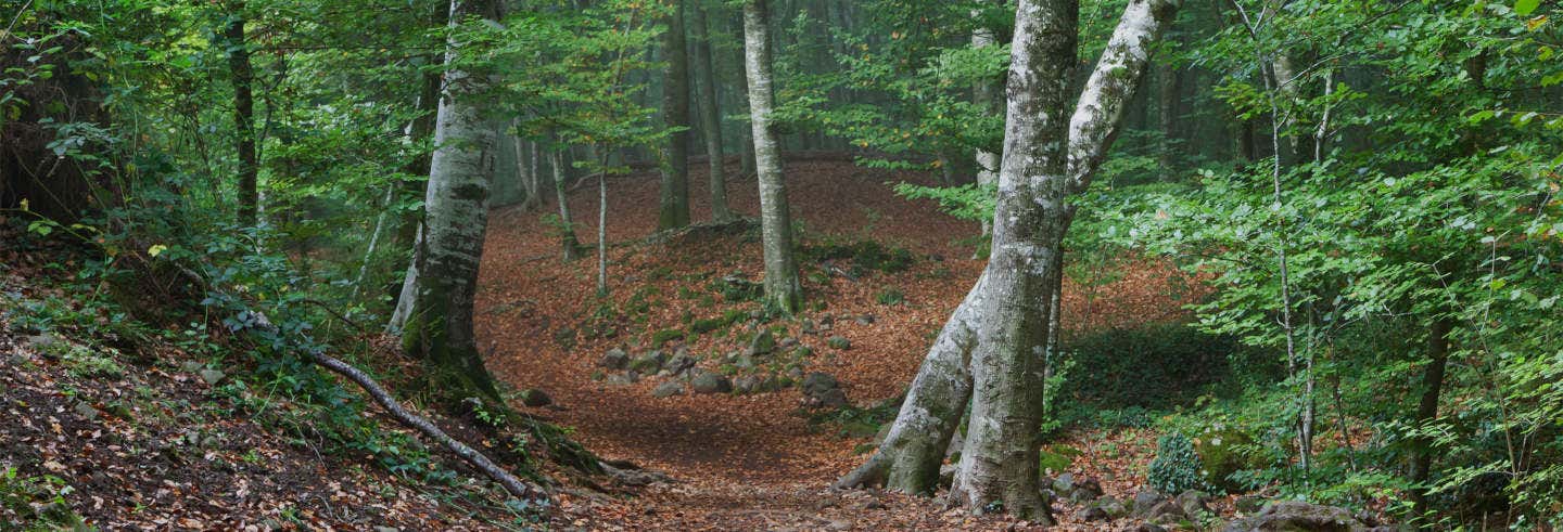 Excursão a Garrotxa