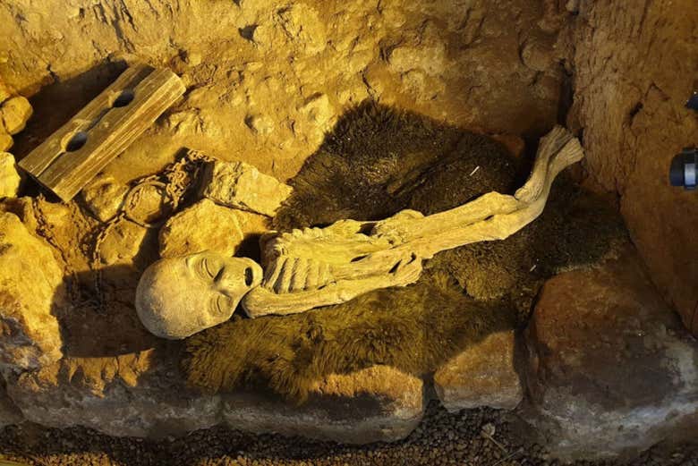 Alien en el castillo de Trigueros del Valle