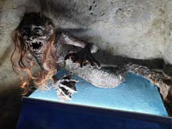 Monstruo de la exposición