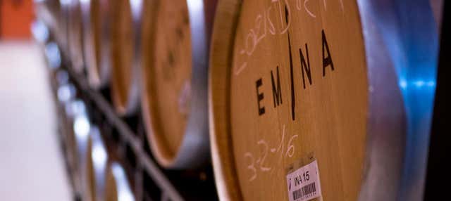 Visita a la bodega Emina Ribera