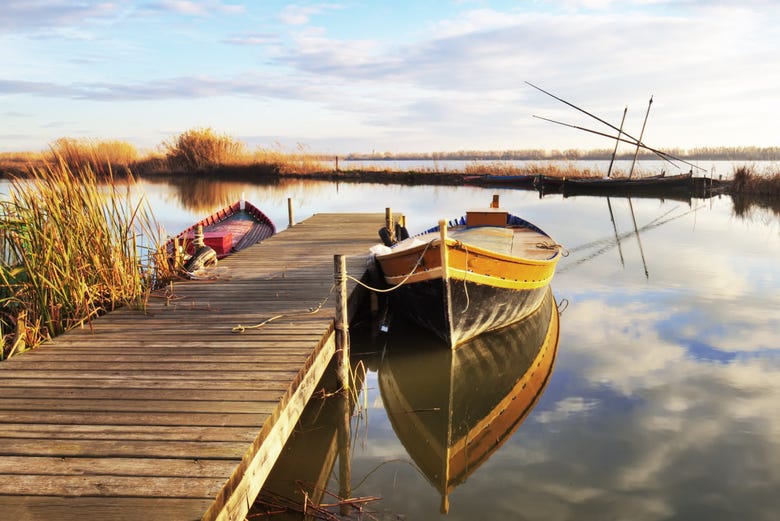 Excursión a La Albufera, Valencia