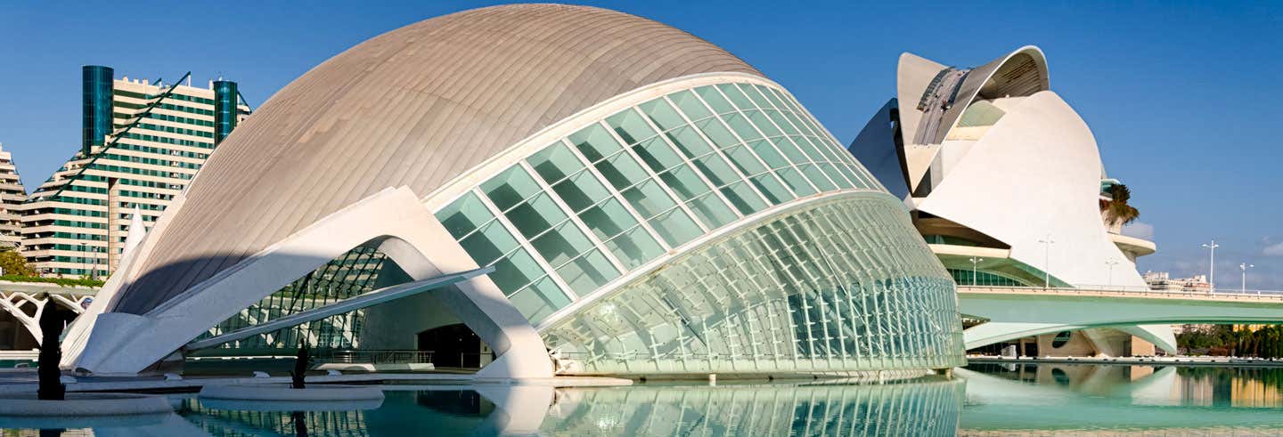 Activities, Guided Tours and Day Trips in Valencia - Civitatis.com