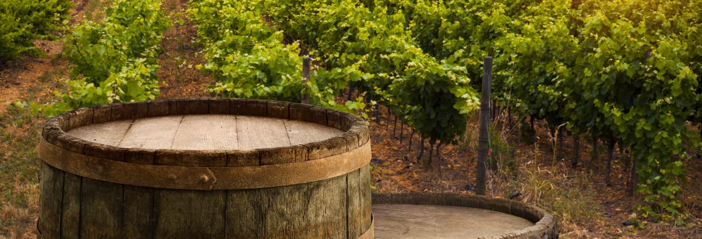 Ruta del vino por Valladolid