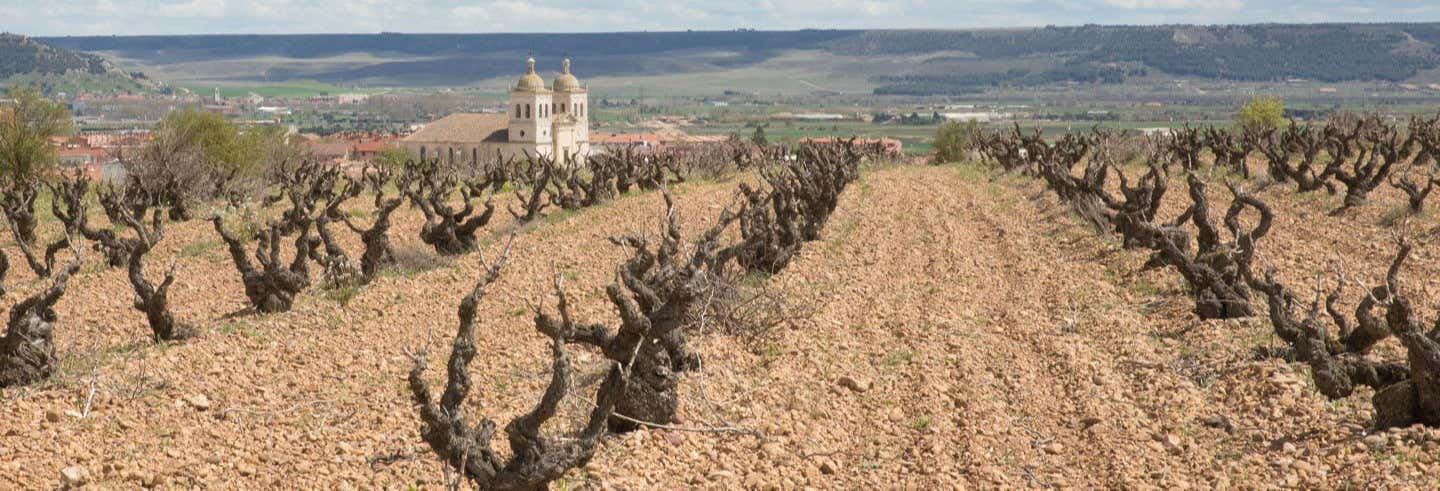 Visita a las bodegas Museum