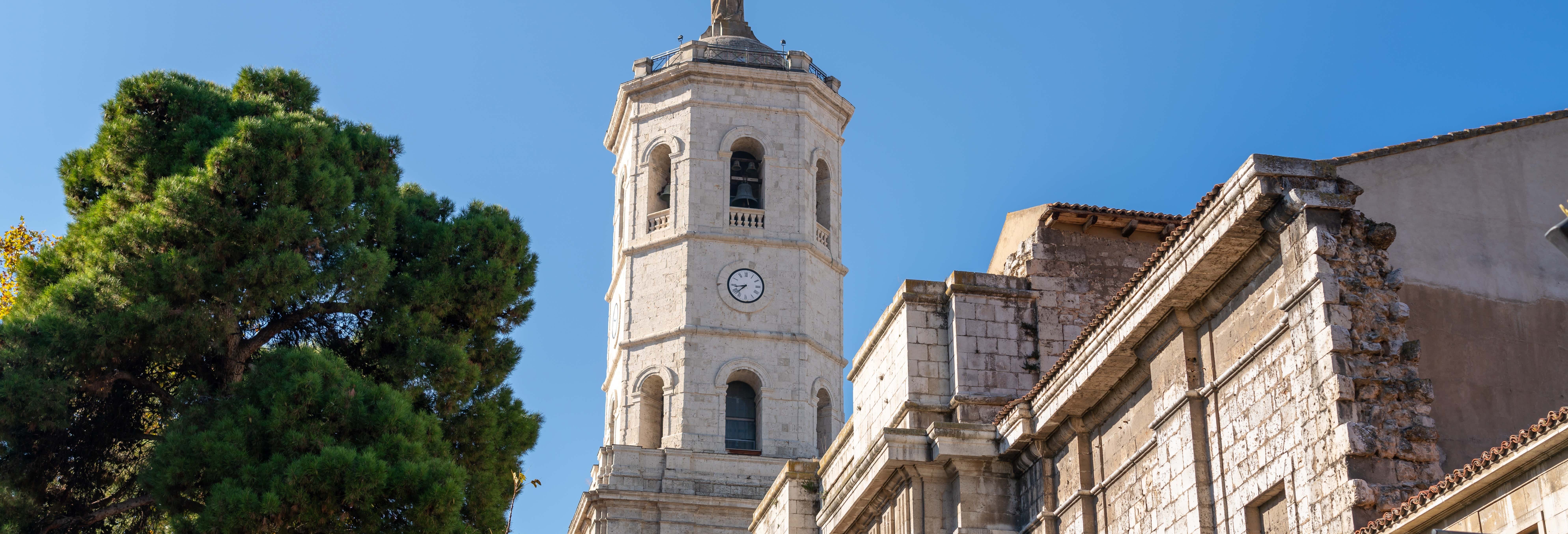 Visita de la Torre de la Catedral