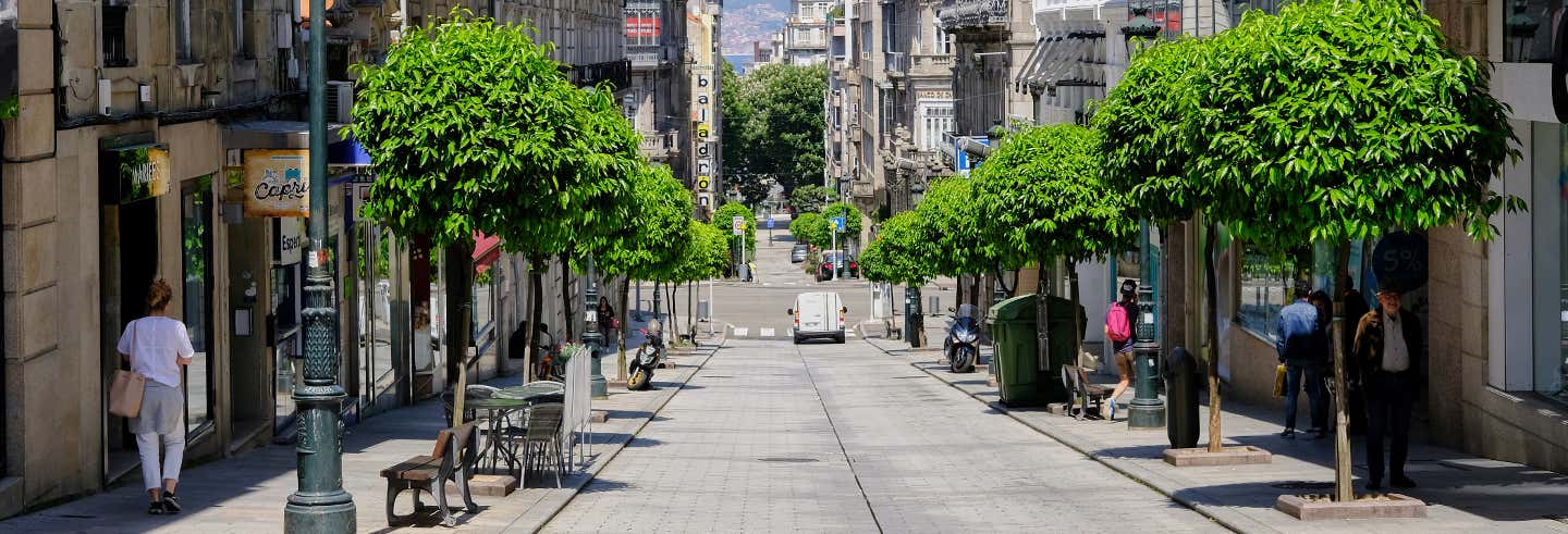 Tour privado por Vigo. Você escolhe!