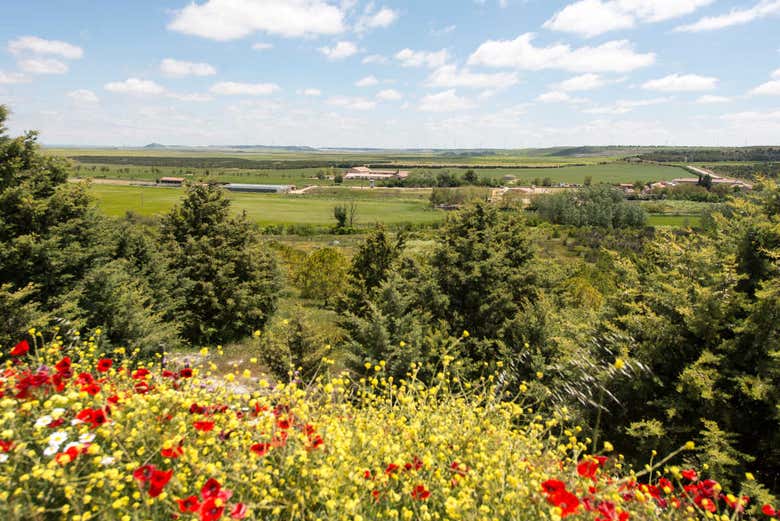 Visita guiada por la finca de Matallana, Villalba de los ...