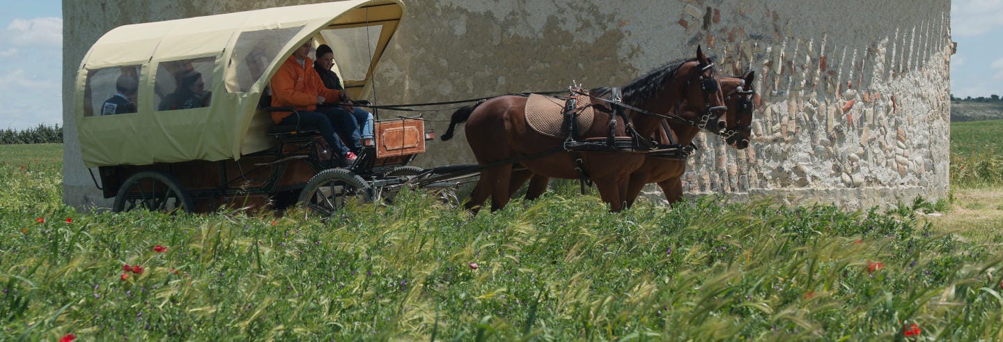 Visita guiada por la finca de Matallana, Villalba de los ...