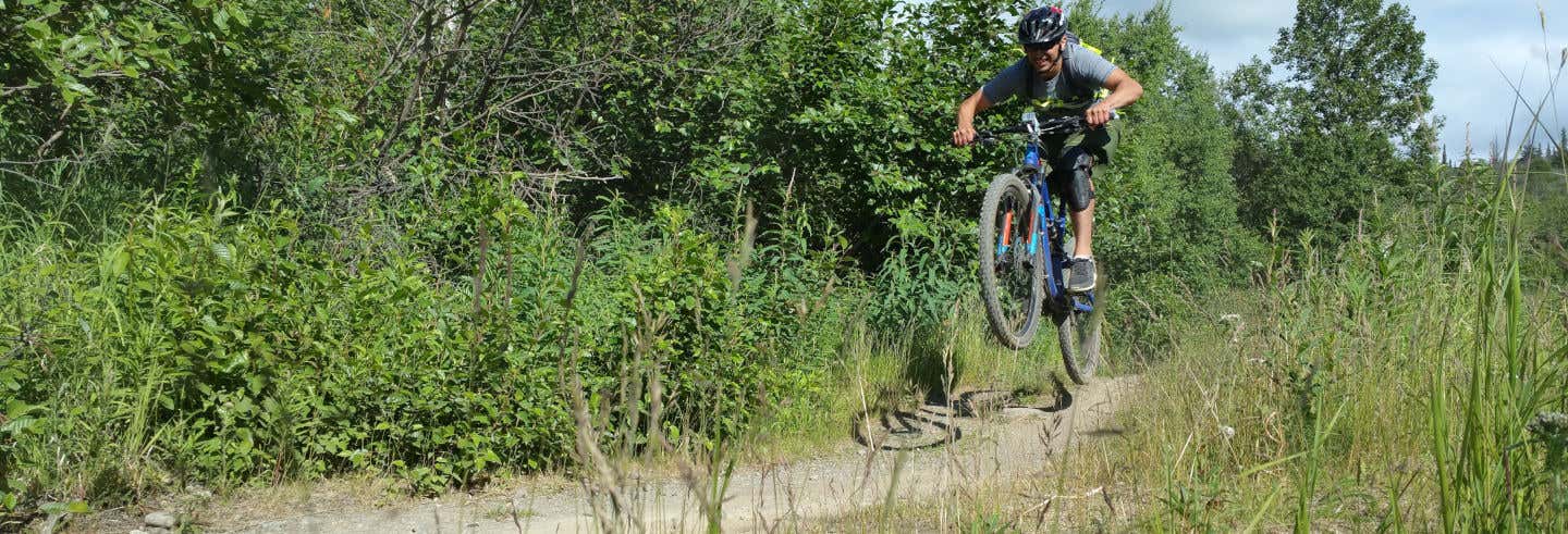 Tour en bicicleta por los bosques de Anchorage
