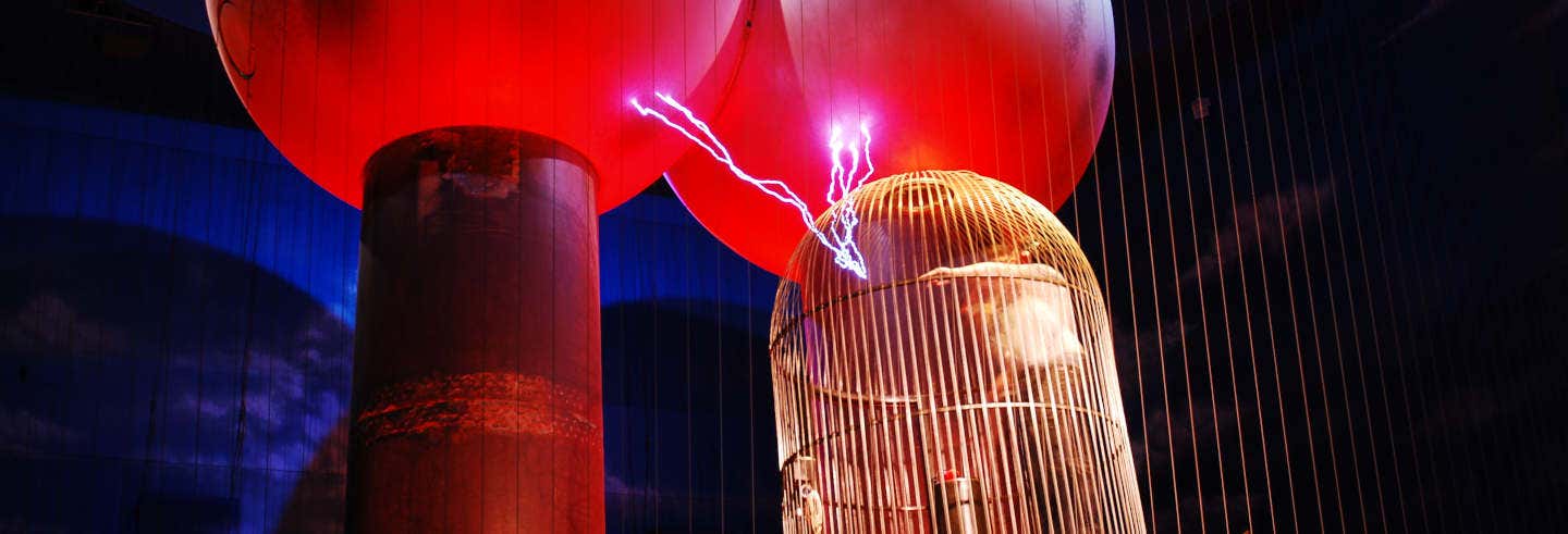 Biglietti per il Museo delle Scienze