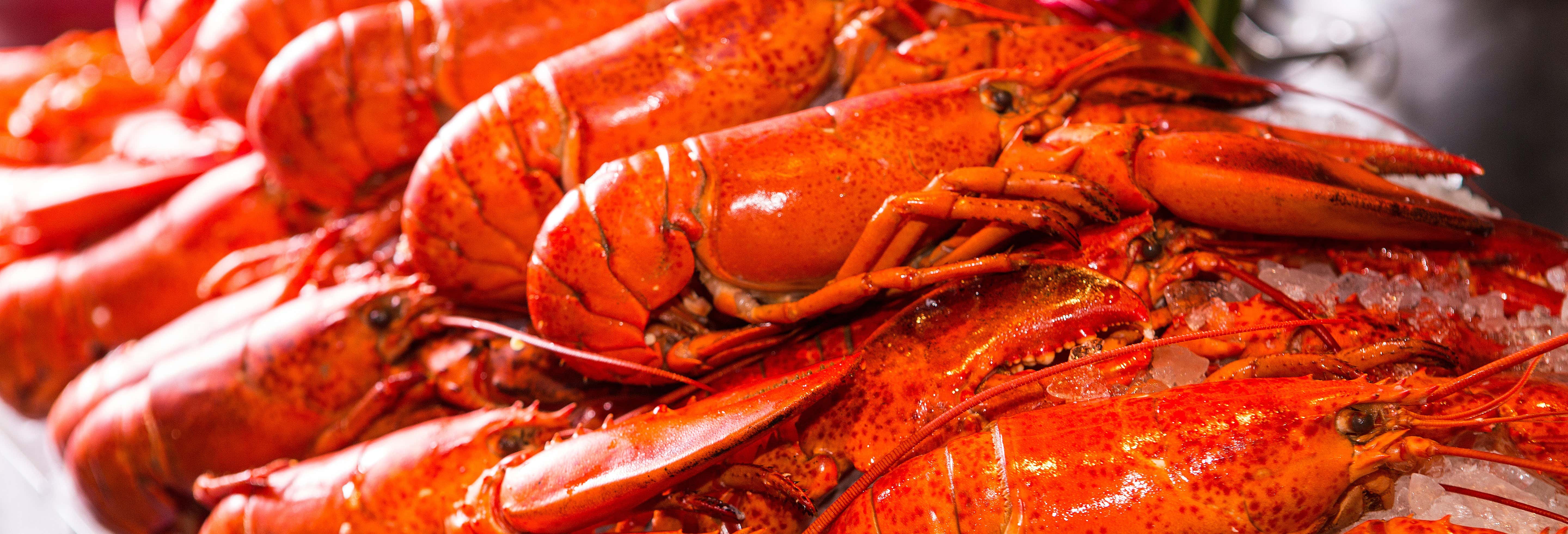 Tour gastronómico por Boston