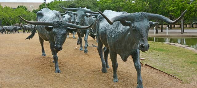 Visita guidata di Dallas