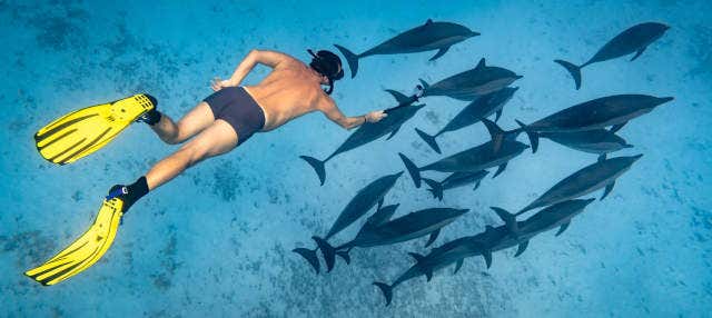 Aluguel de equipamento de snorkel