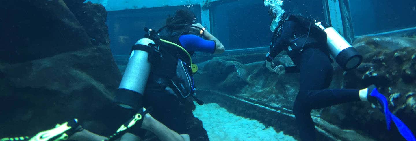 Bagno con gli squali al Sea Life Park Hawaii