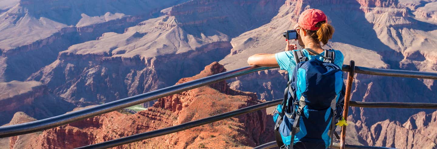 Excursión al South Rim al completo