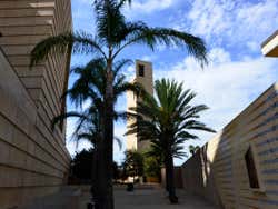Cathedral of Our Lady of the Angels