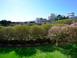 Getty Villa Gardens