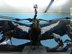 Exhibit at the La Brea Tar Pits