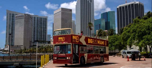 Miami Tourist Bus