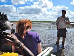 Everglades, testando la profondità