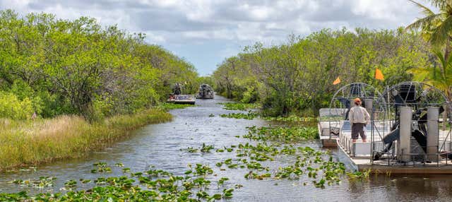 Passeio de airboat pelos Everglades
