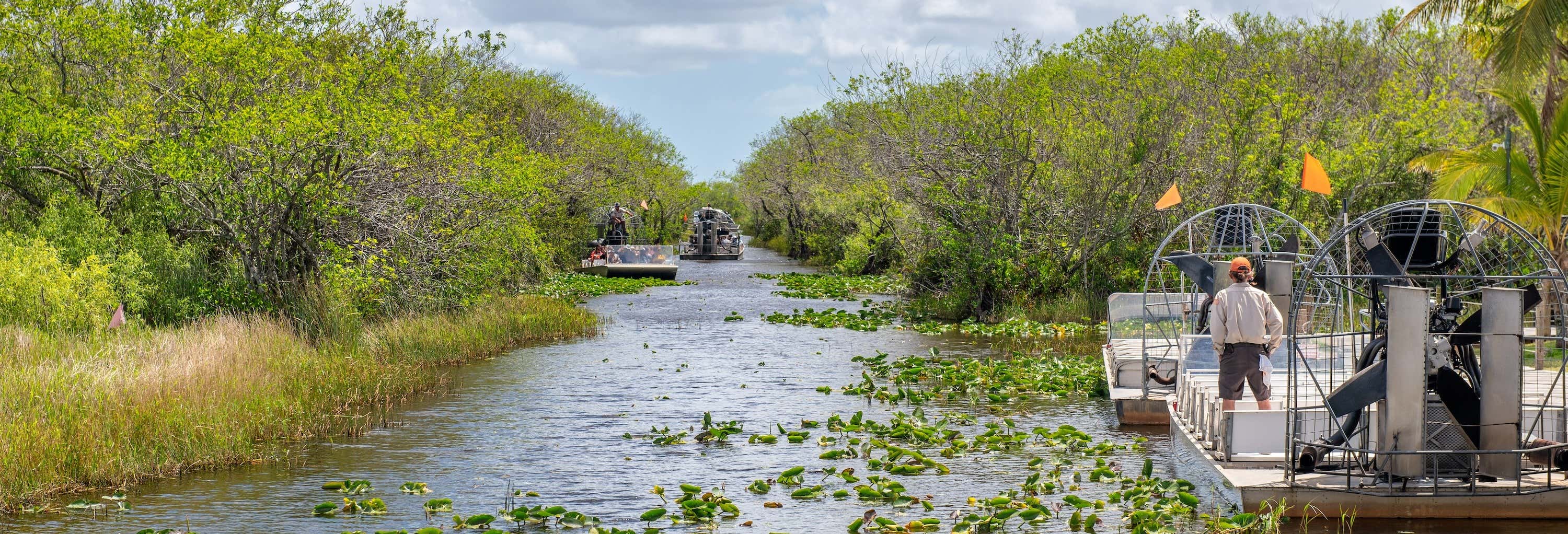 Giro in aeroscafo nelle Everglades