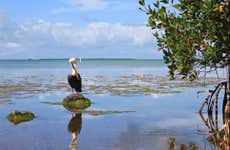 Offerta: Everglades + giro in barca