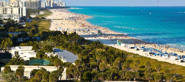 Offerta: Tour di Miami + Escursione alle Everglades