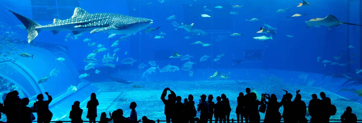 Ingresso do Monterey Bay Aquarium