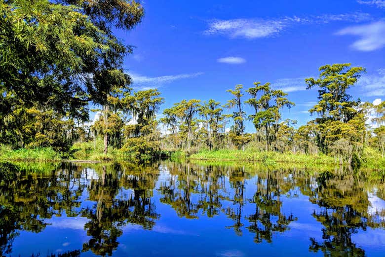 Paseo en barco por la Reserva de Barataria desde Nueva Orleans