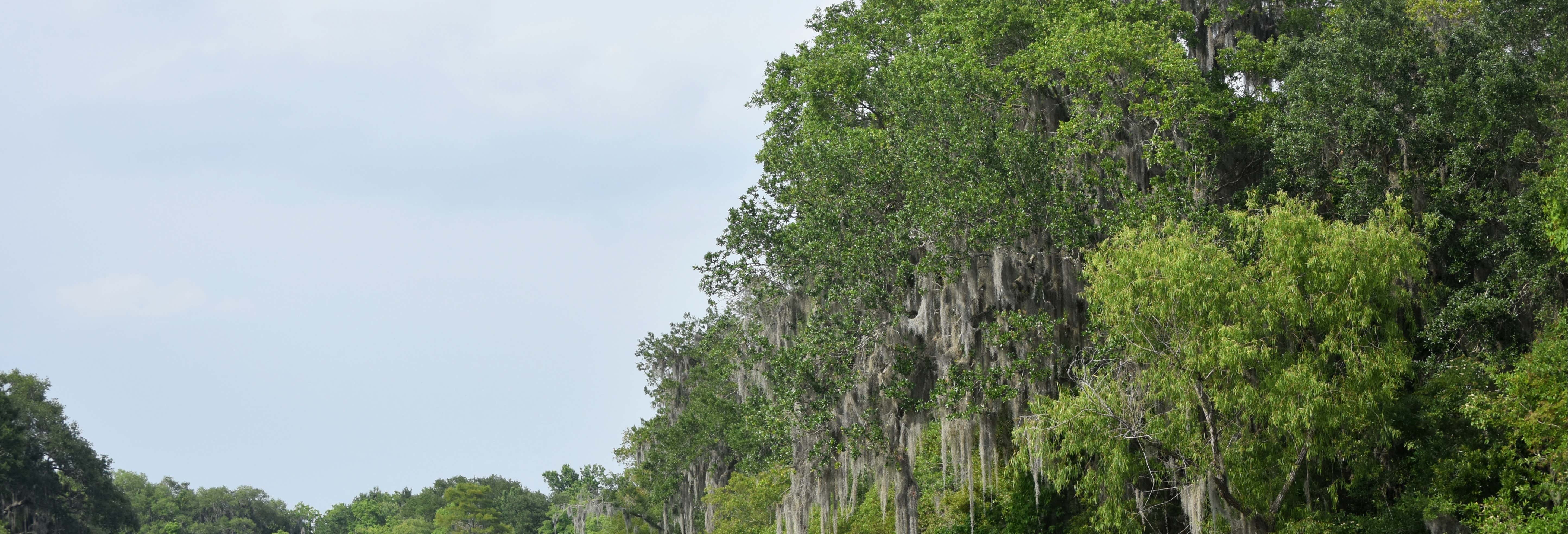 Balade en bateau dans la Réserve de Barataria