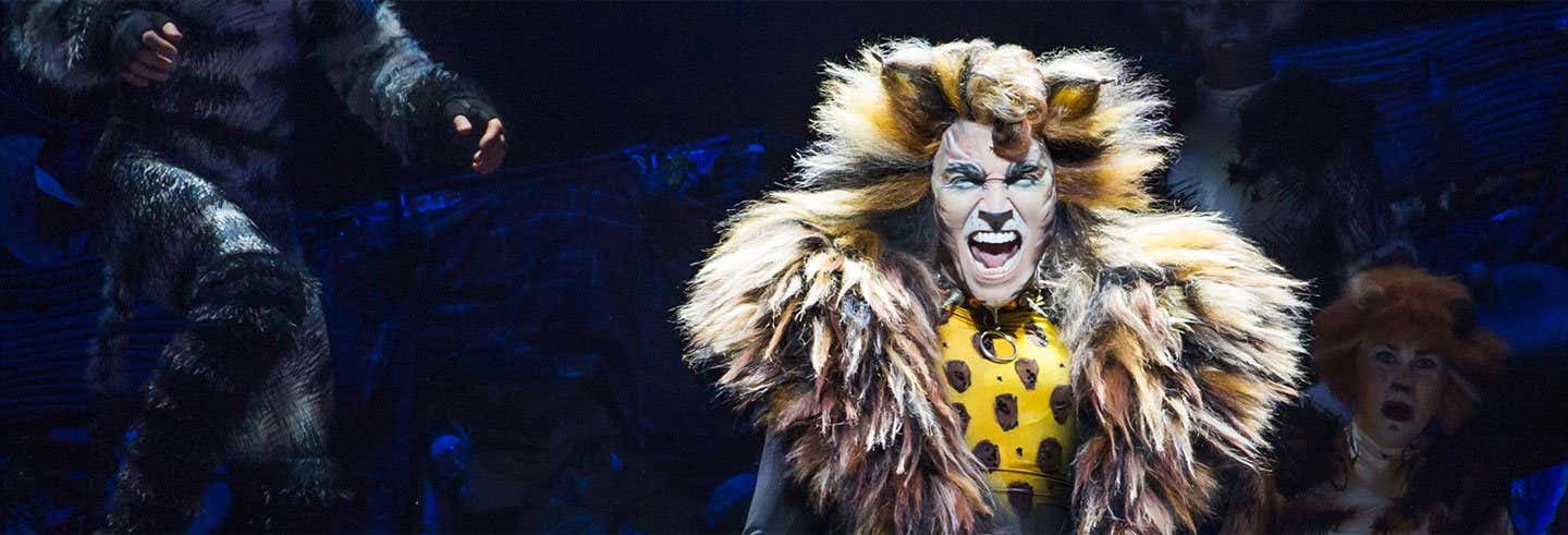 Cats the Musical on Broadway New York - IntroducingNewYork.com