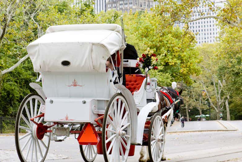 Carruagem em Nova York