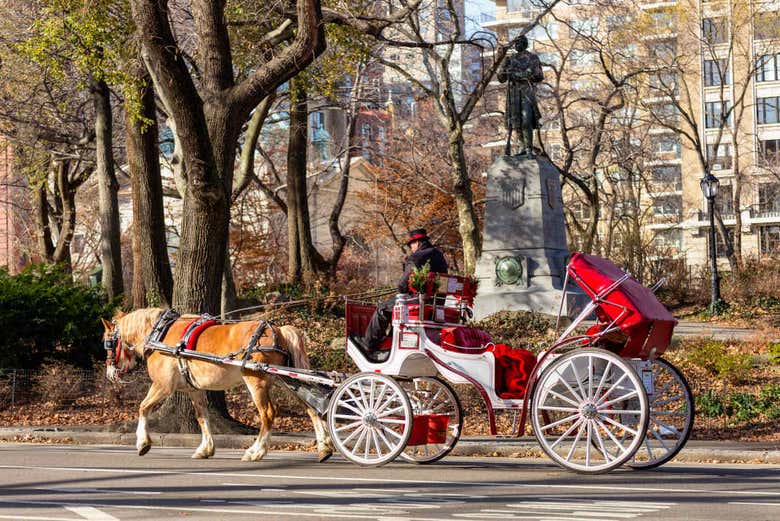 Horsedrawn carriage rides through Central Park, New York