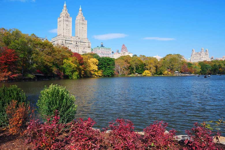 Central Park Walking Tour, New York