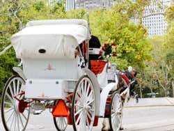 Carruagem em Nova York