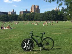 Descansando no Central Park