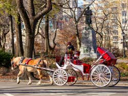 Carruagem em Nova York