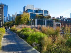 High Line Park