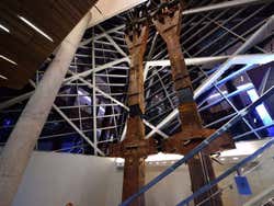 Museu 11 de setembro