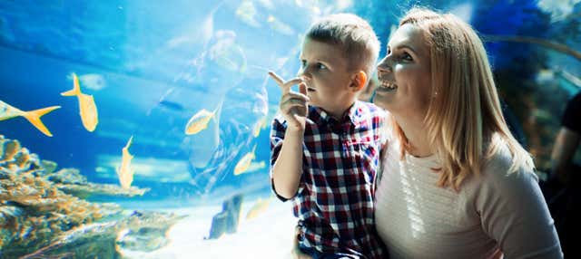 SEA LIFE® Orlando Ticket