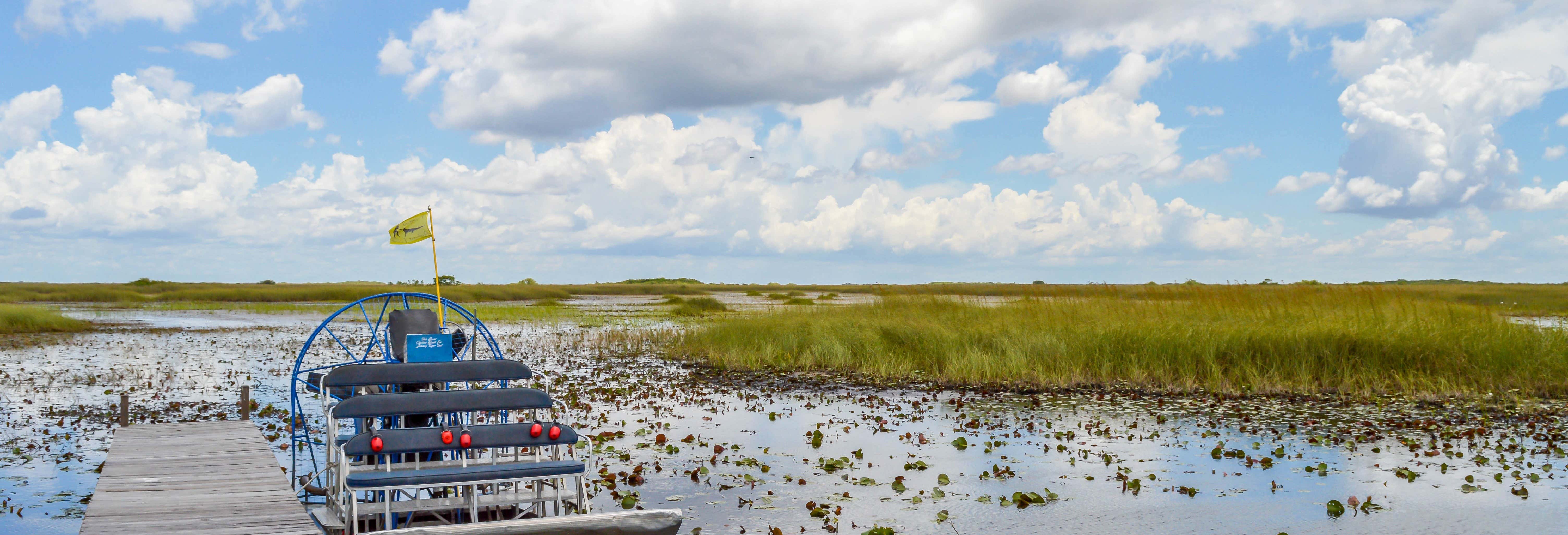 Excursión a los Everglades