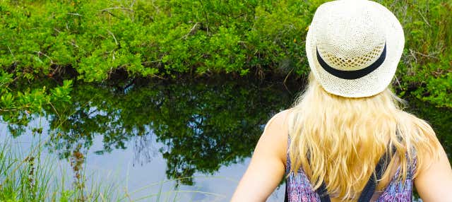 Excursão a Miami e aos Everglades