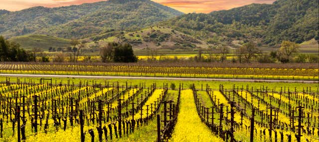 Excursión a los valles de Napa y Sonoma
