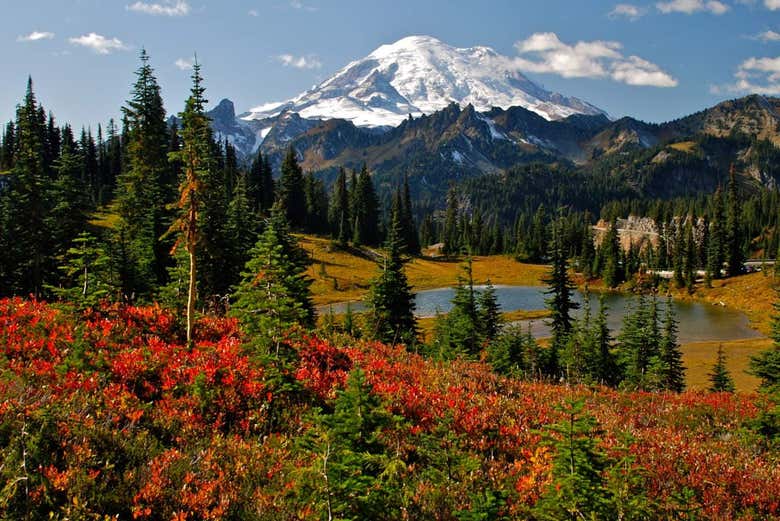 Escursione al Parco Nazionale del Monte Rainier da Seattle