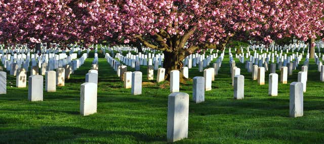 Arlington Cemetery & DC War Memorials Tour
