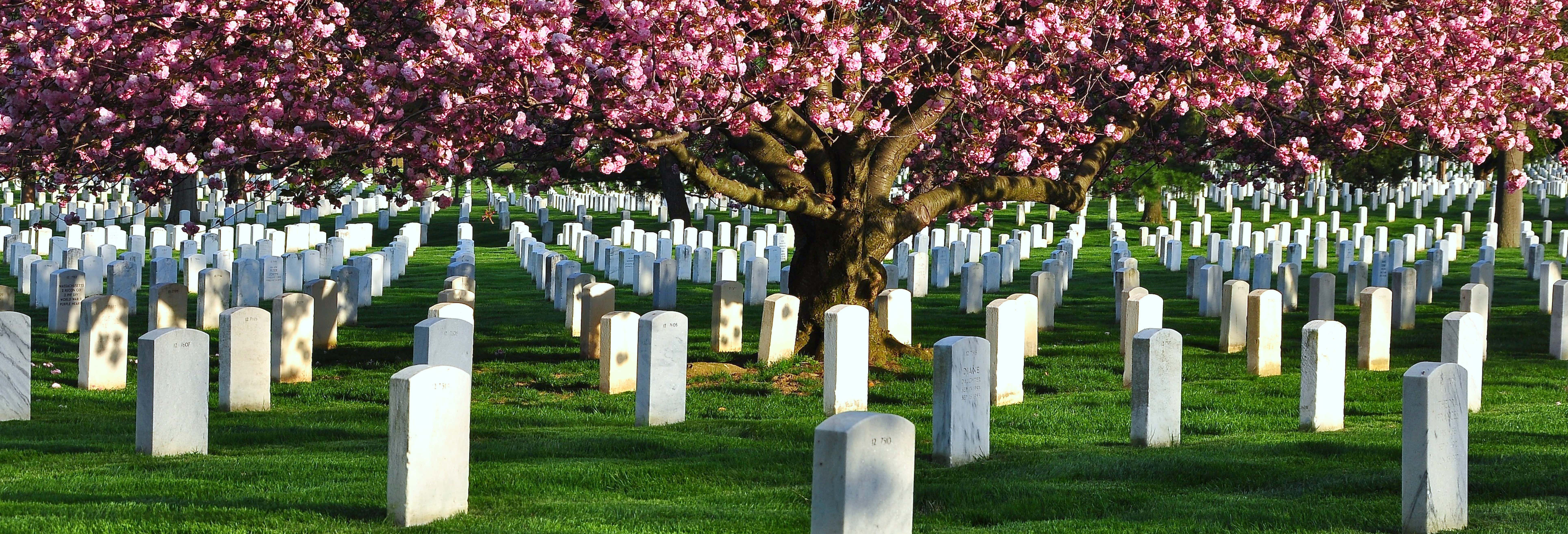 Cementerio de Arlington, Iwo Jima y Pentágono