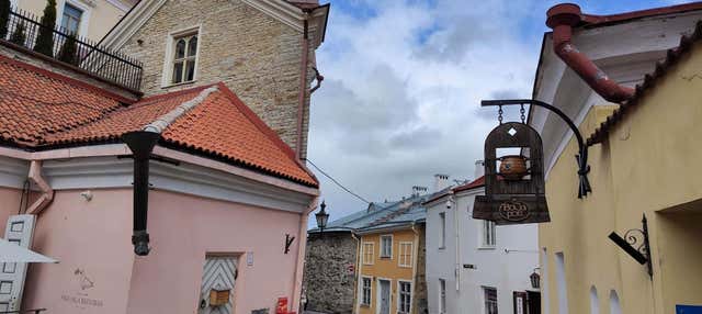 Tour privado por Tallin con guía en español