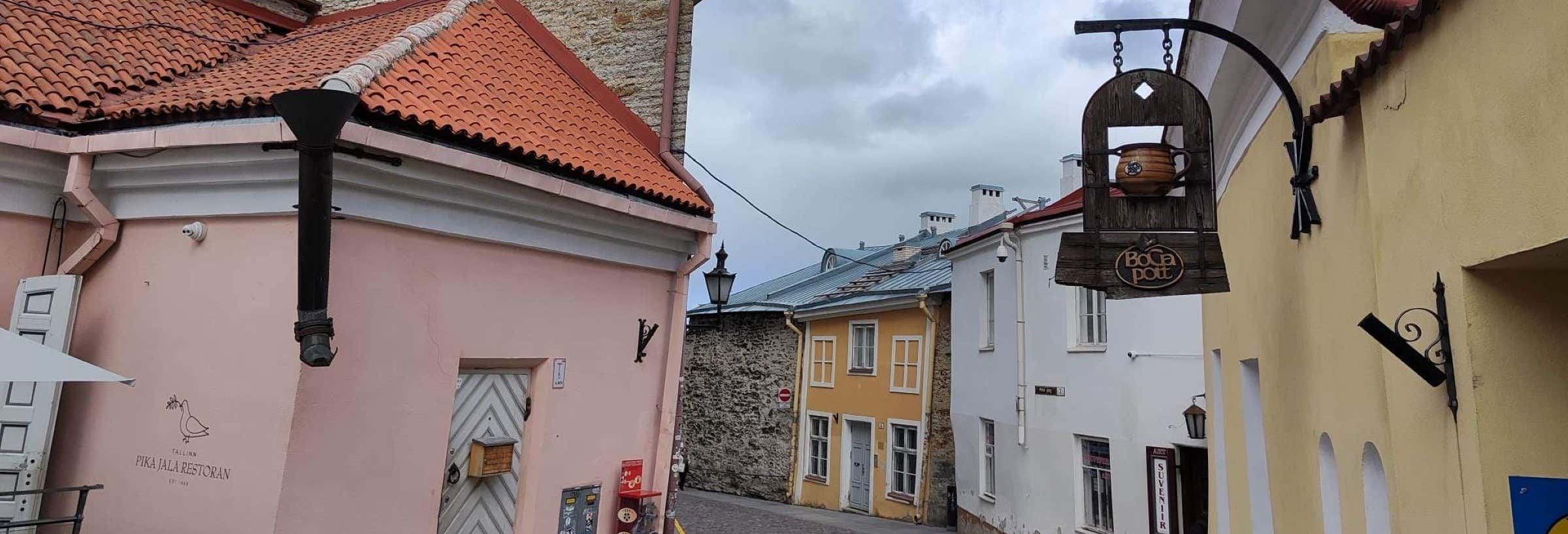 Tour privado por Tallin con guía en español